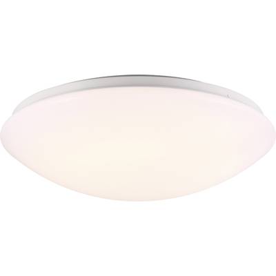 Gelijk mager aantal Nordlux 45386501 Ask LED-buitenlamp met bewegingsmelder (plafond) LED 18 W  Wit kopen ? Conrad Electronic