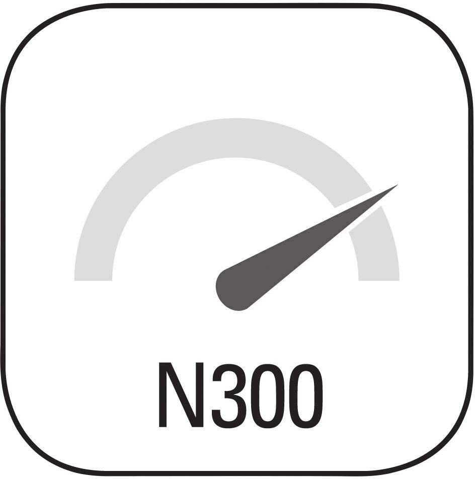 Logo met zwarte tekst 'N300' en een grijs snelheidsmeterembleem dat wijst op hoge snelheid.