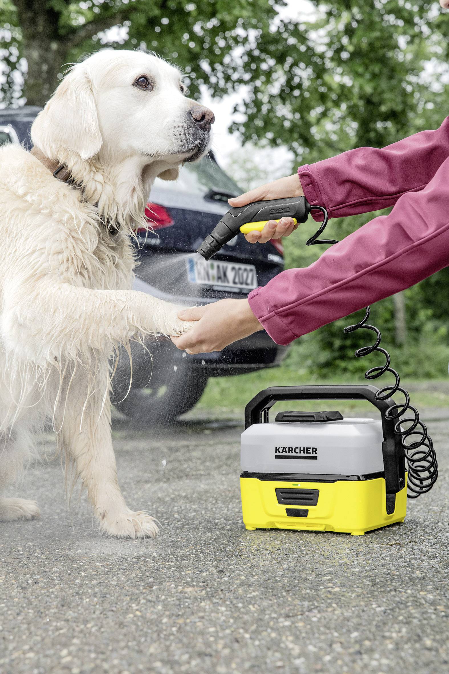 Een natte, gouden Retriever wordt buiten gewassen met een draagbare Kärcher-reiniger door iemand in een rode jas.
