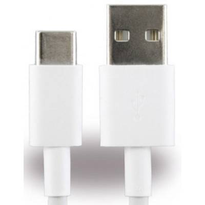 Een USB-C- en een USB-A-stekker naast elkaar. Beide stekkers zijn wit en worden gebruikt om apparaten met verschillende aansluitingen te verbinden.