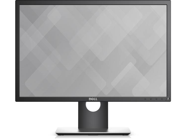 DELL Dell 22 Monitor P2217 (P2217)