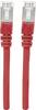 Intellinet 740579 RJ45 Netwerkkabel, patchkabel CAT 6A S/FTP 0.25 m Rood Folie afscherming, Afscherming gevlochten, Afgeschermd, Halogeenvrij 1 stuk(s)