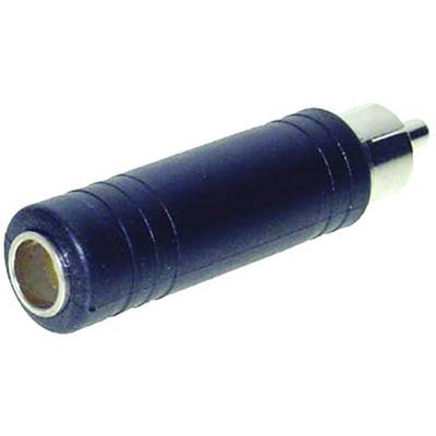 Afbeelding van een audio-adapter met een bus aan de ene kant en een stekker aan de andere kant.