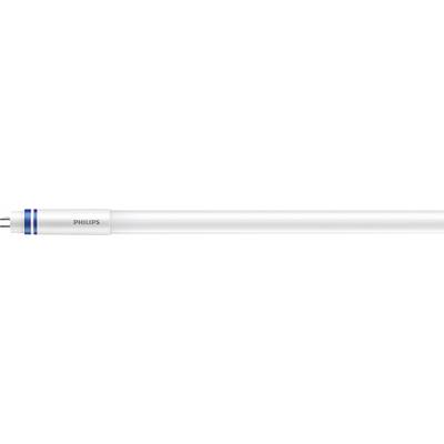 Tl-buis met merknaam 'Philips', toont een witte, cilindrische vorm met blauwe strepen aan de linkerkant.