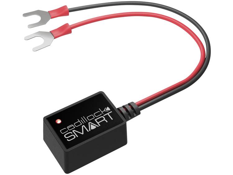 Cadillock Smart Accubewaker 6 V, 12 V, 24 V 23 mm x 36 mm x 18 mm