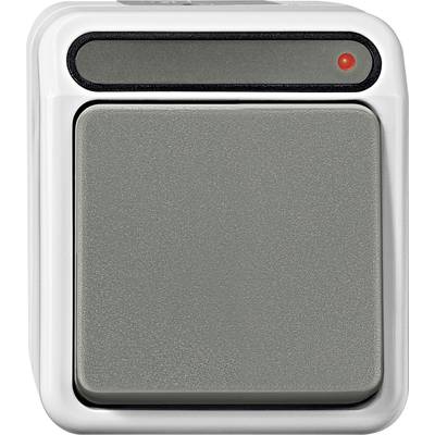Een grijze lichtschakelaar met een klein rood controlelampje rechtsboven.