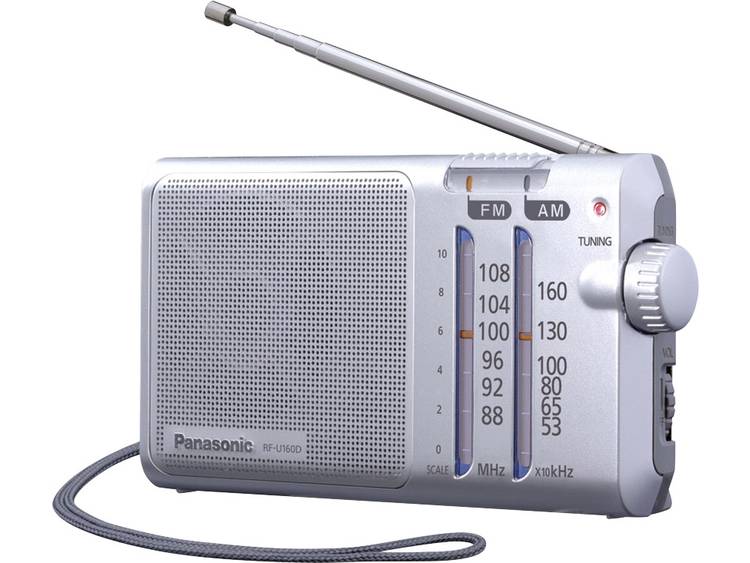 Panasonic RF-U160DEG-S Draagbaar Analoog Grijs radio