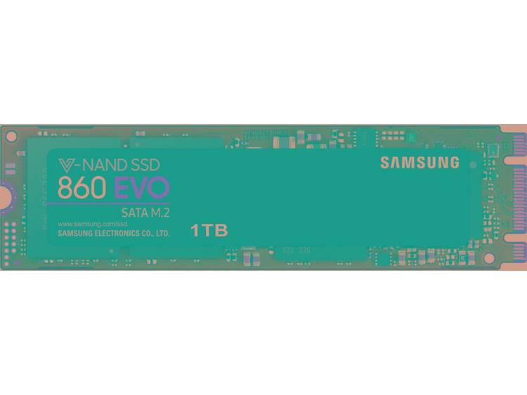 Samsung SSD 860 EVO 1TB M.2