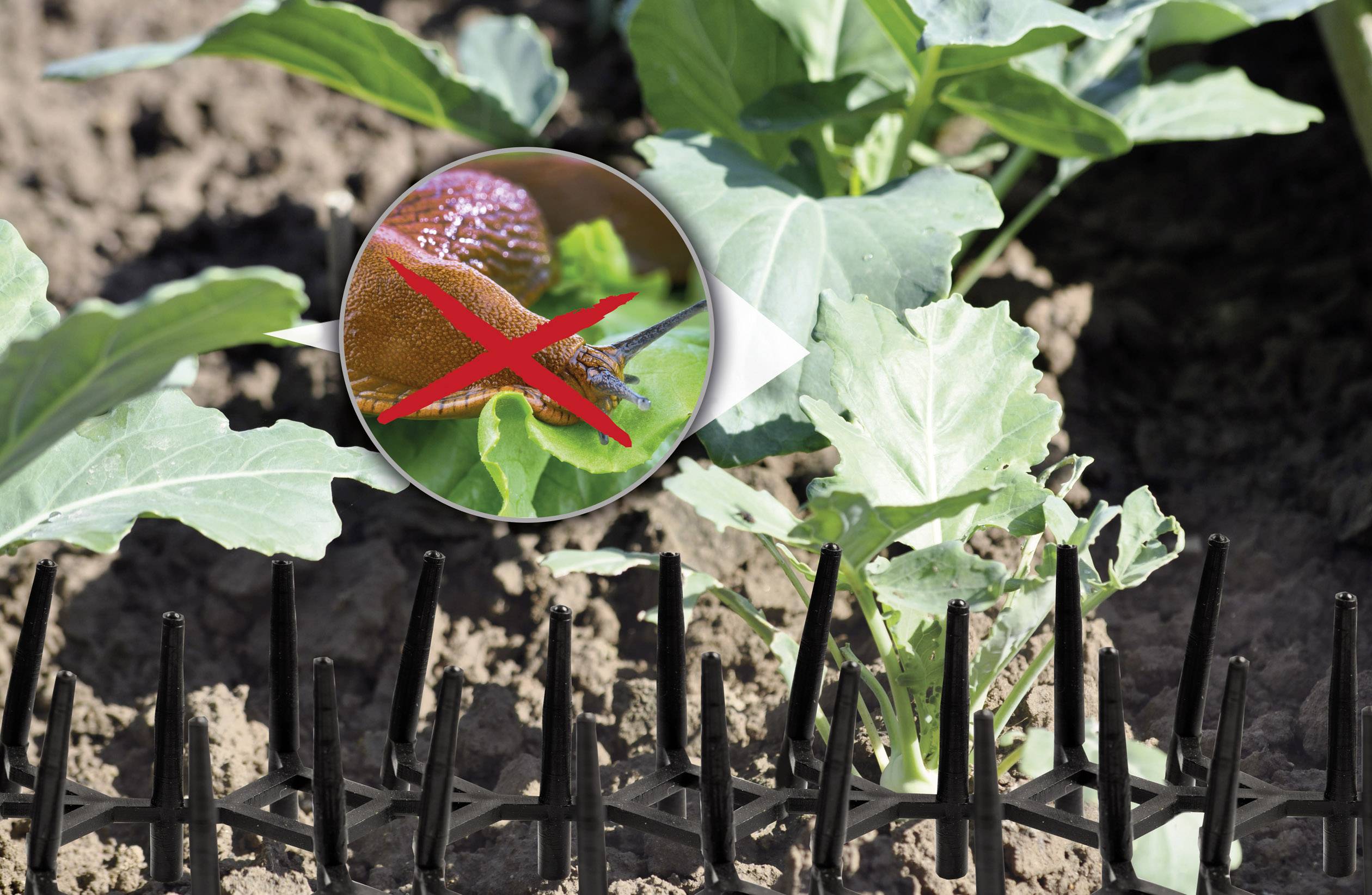 Gardigo Beet-Paneel Dierenverschrikker Functies Afschrikking 1 stuk(s)-7