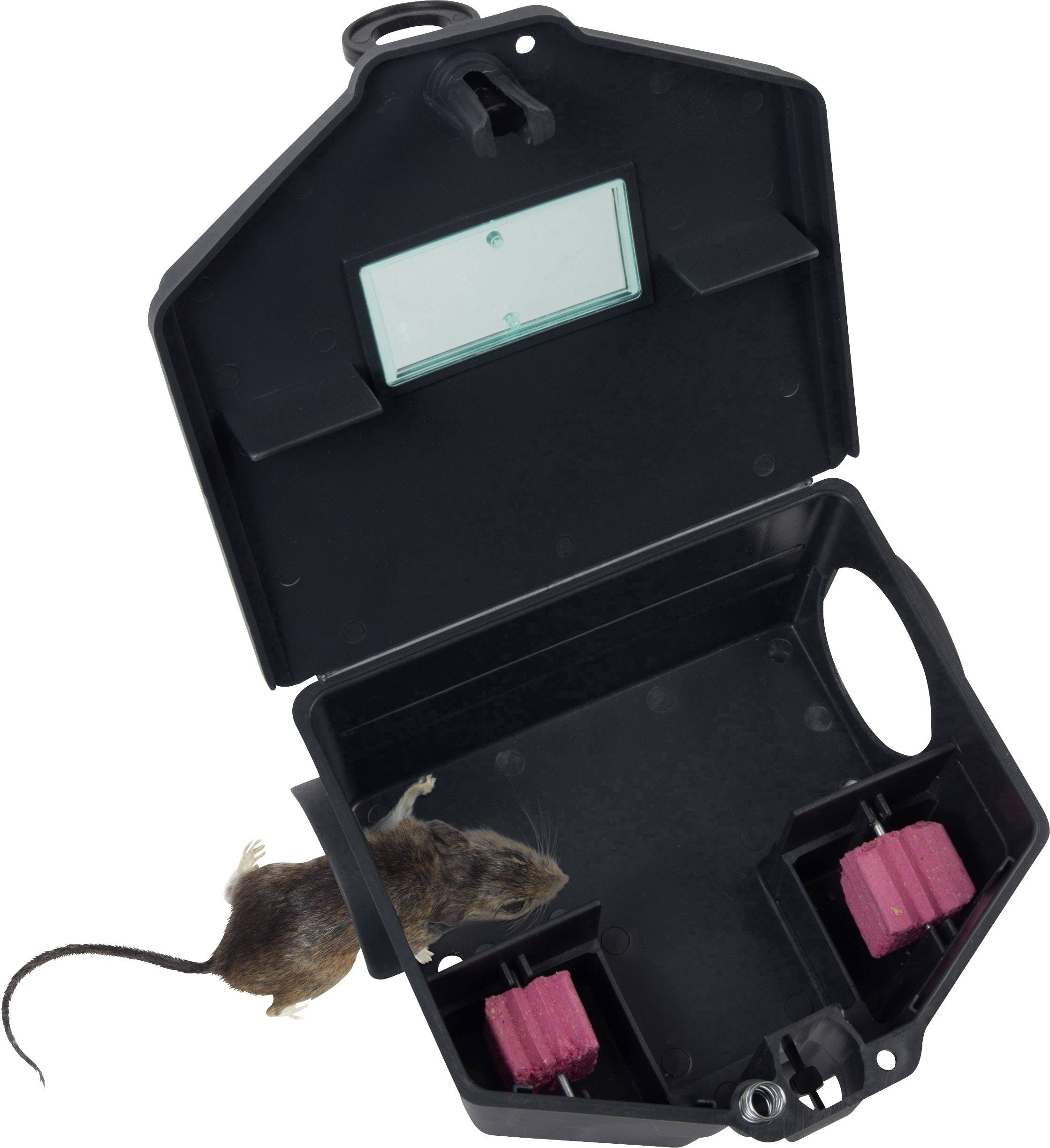 Een muis bevindt zich in een open zwarte lokdoos met twee roze blokken.