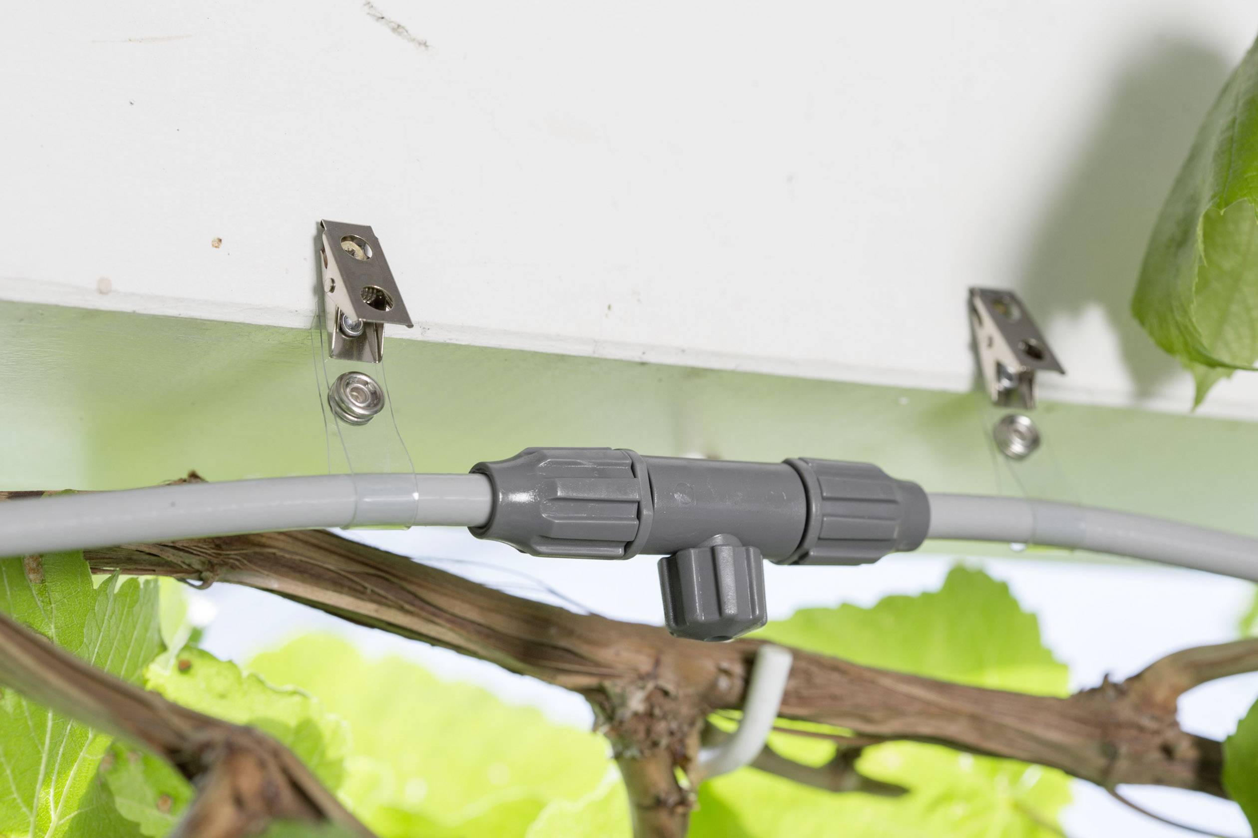 Een grijze T-stuk van een irrigatiesysteem is aan een muur bevestigd. Kabels en plantenonderdelen zijn zichtbaar op de achtergrond.