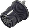 Bulgin PXP4013/08P Ronde connector Stekker, inbouw Totaal aantal polen: 8 Serie (ronde connectoren): Buccaneer 4000 1 stuk(s)