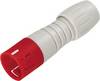 binder 99 9205 450 03 Ronde subminiatuurconnector Stekker, recht Totaal aantal polen: 3 1 stuk(s)