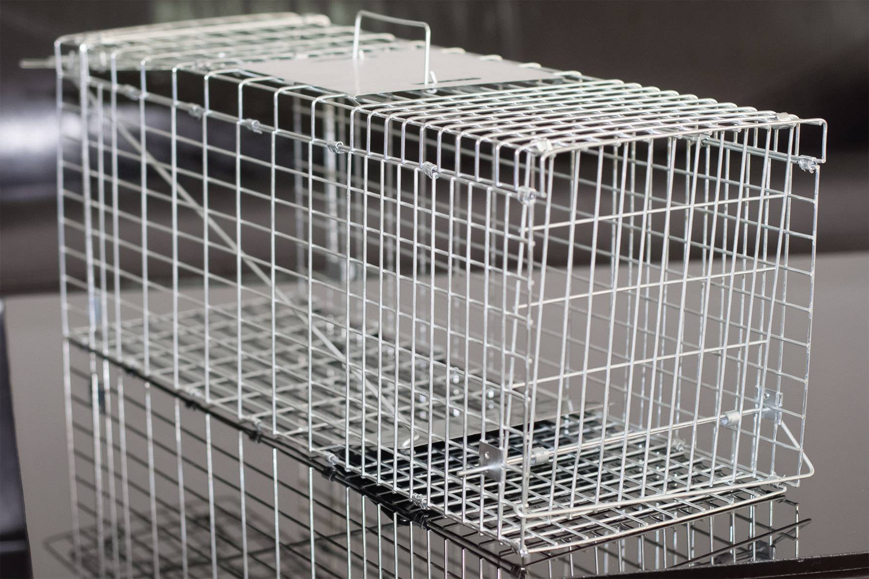 Metalen kooidval met grote handgreep op een gladde oppervlakte, aan één kant open. Gebruikt om kleine dieren levend te vangen.
