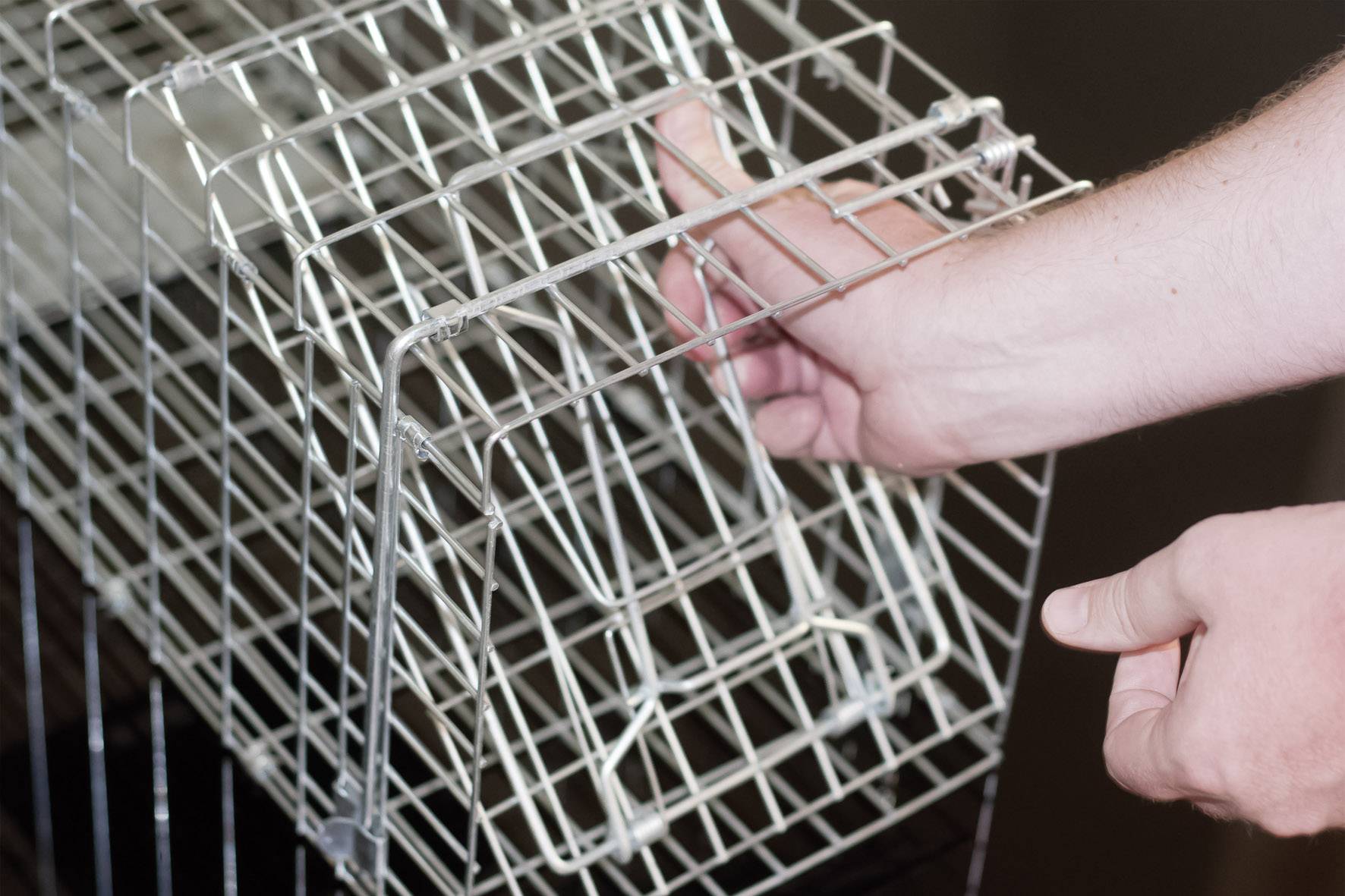 Een hand opent de deur van een draadkooi. Het lijkt te gaan om een stabiel geconstrueerde metalen kooi voor dieren.