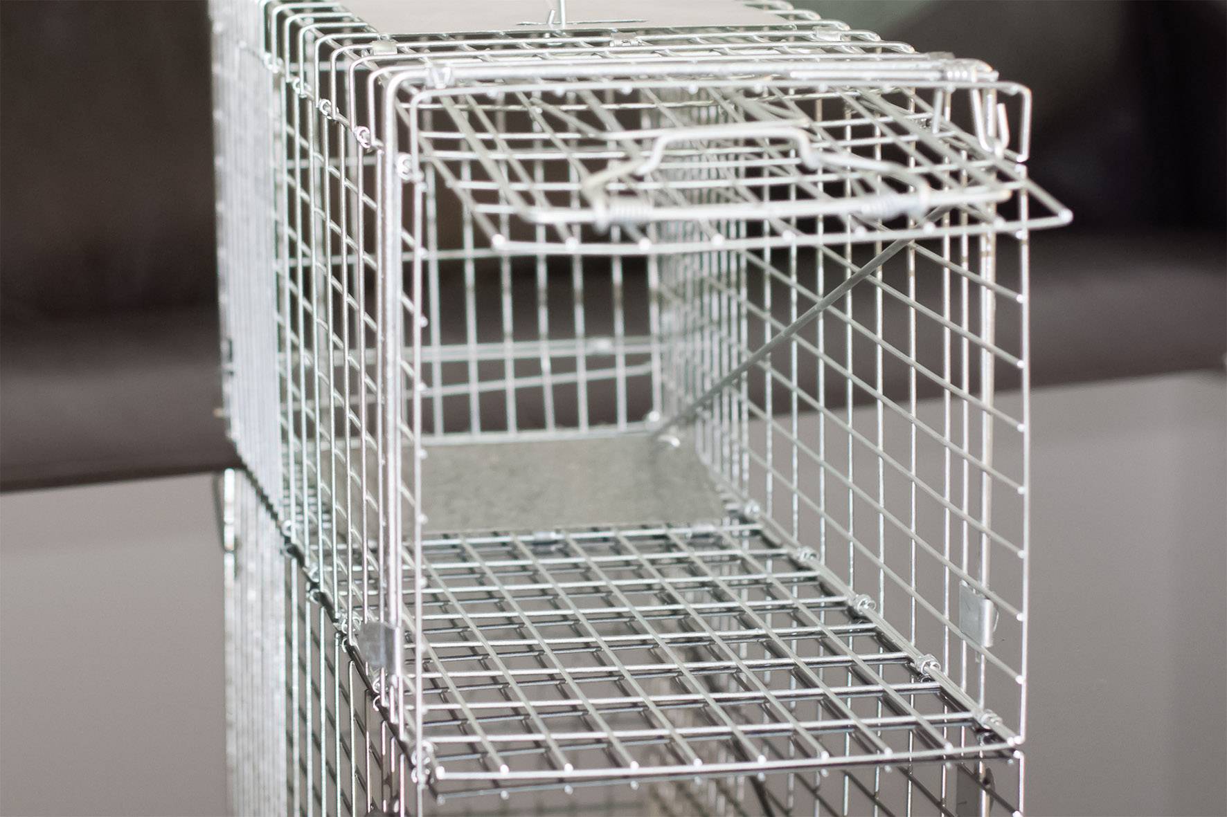 Een metalen val met een roosterstructuur en een geopende klep, staand op een reflecterende oppervlakte, klaar om kleine dieren te vangen.