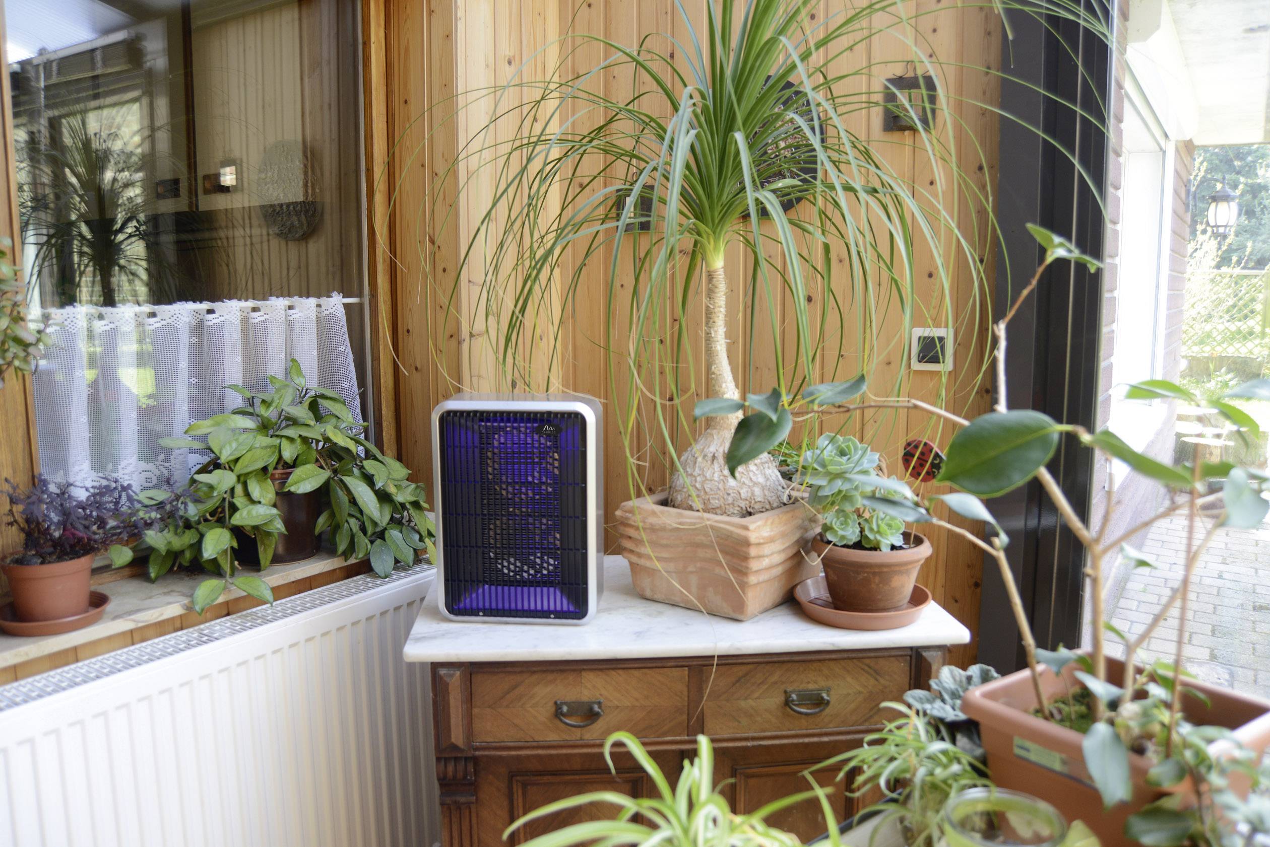 Verschillende potplanten staan op een dressoir in een ruimte met houten wandbekleding. Een ventilator met blauwe verlichting staat tussen de planten.