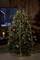 Een versierde kerstboom met rode en gouden kerstballen en slingers van lichtjes staat in een met hout betimmerde ruimte voor een raam.