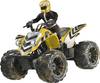 Revell Control 24641 New Dust Racer RC modelauto voor beginners Elektro Achterwielaandrijving
