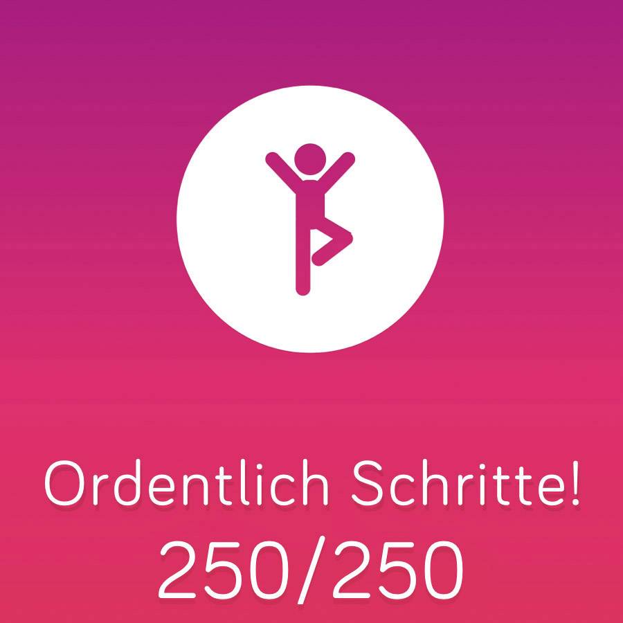 'Nette stappen! 250/250' op een roze achtergrond met een symbool van een staande persoon.