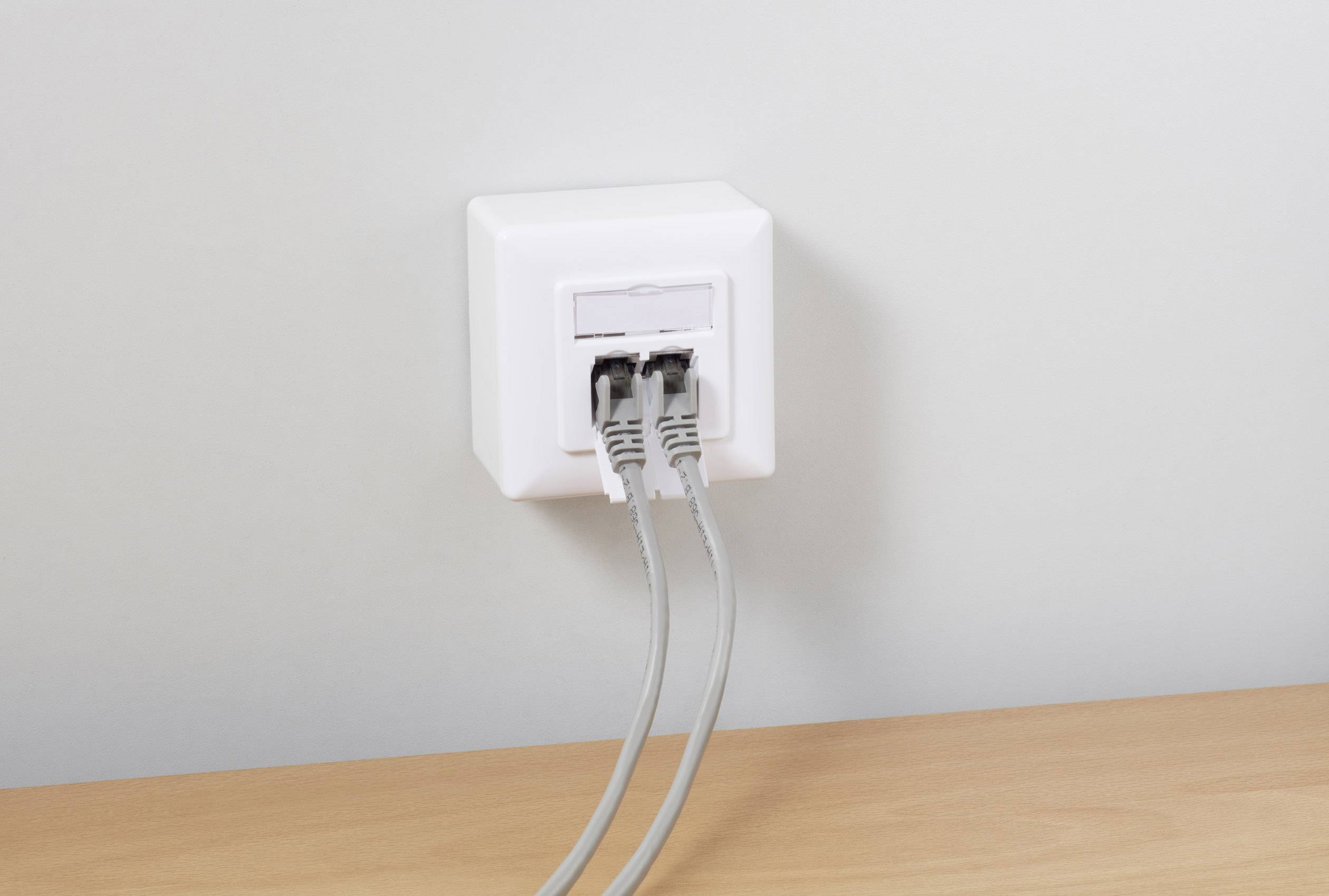 Twee netwerkkabels zijn aangesloten op een witte LAN-aansluiting aan de muur.