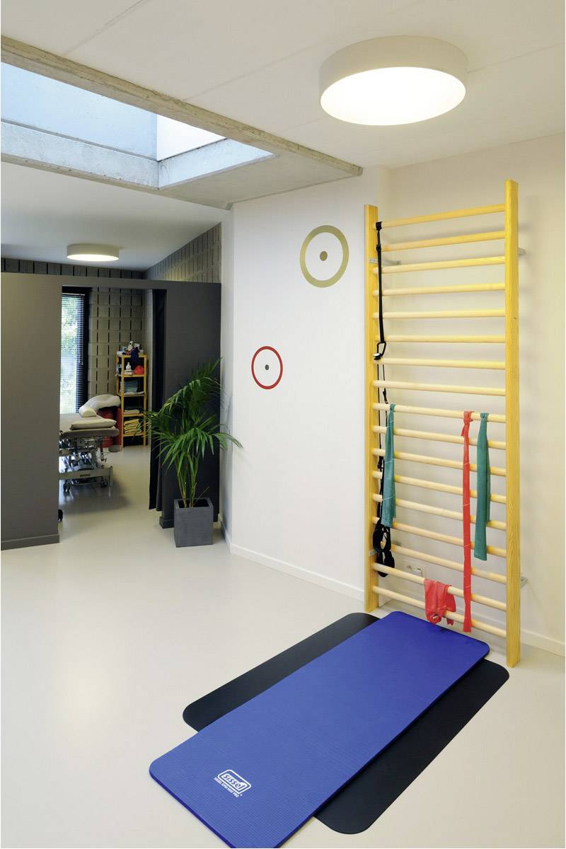 Lichte ruimte met klimwand, blauwe mat en fitnessbanden. Een kast en een plant op de achtergrond.