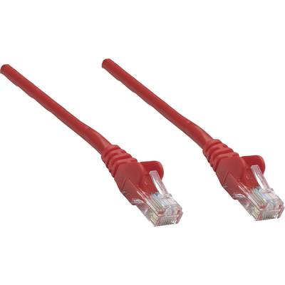 Twee rode Ethernet-kabels met RJ-45-connectoren, gebruikt voor netwerkverbindingen in computernetwerken.