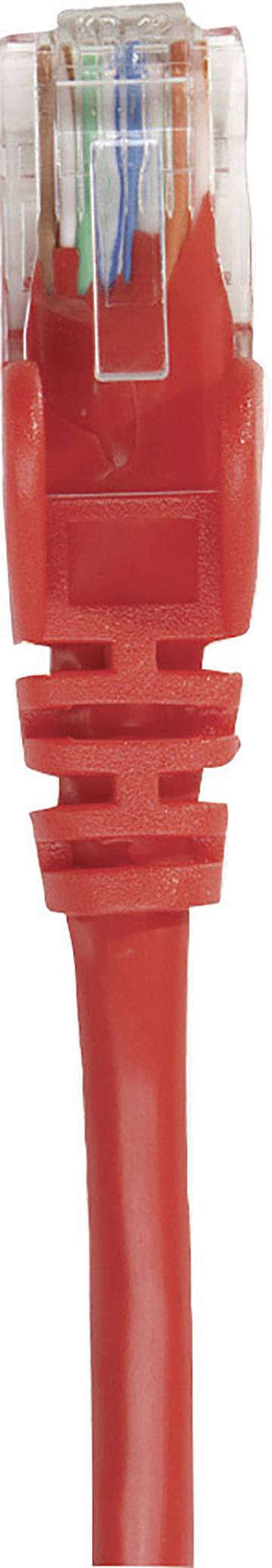 Rood Ethernet-kabel met transparante connector, wordt gebruikt voor netwerkverbinding.
