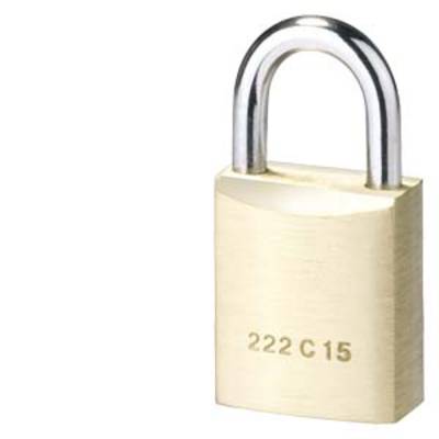 Een messing slot met het ingeslagen nummer '222 C 15' op de voorkant. Het slot symboliseert veiligheid en bescherming.