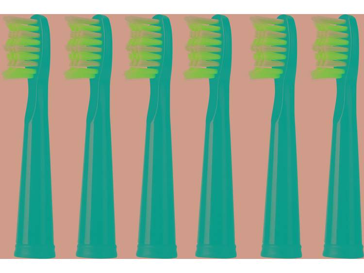 Opzetborstel voor elektrische tandenborstel AILORIA FT-271 6 stuks Zwart