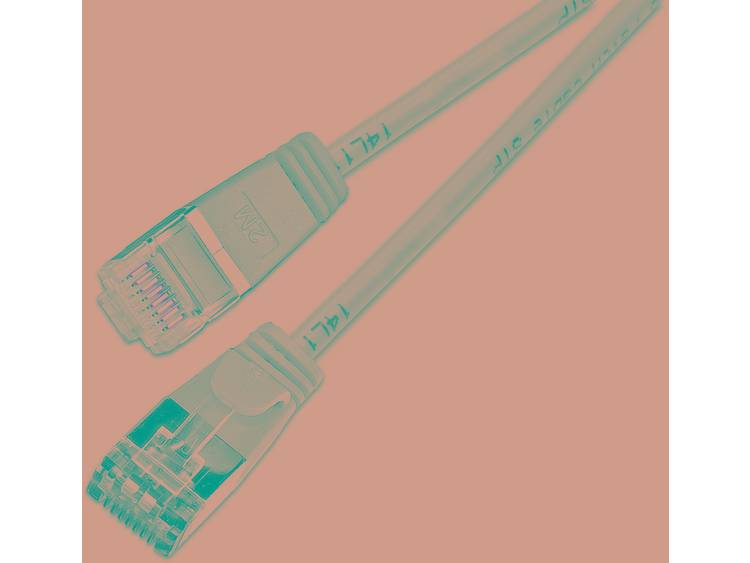 Netwerkkabel RJ45 CAT 6 U-FTP 0.50 m Grijs Wirewin