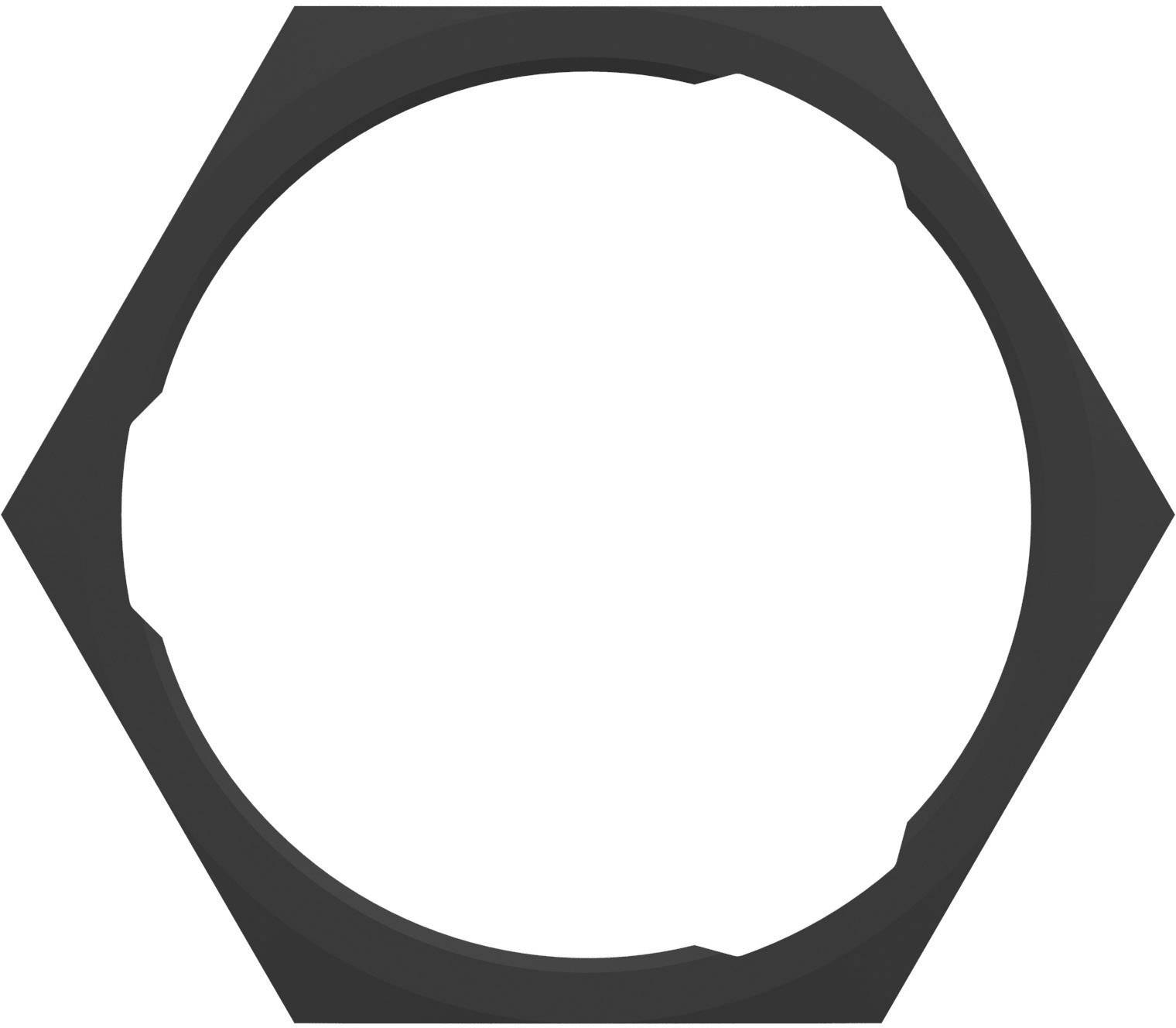 Zeshoekig frame met een leeg, wit binnengebied. Geen verdere decoratieve elementen of details aanwezig.