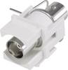 Renkforce RF-KS-BNC BNC-inbouwmodule Keystone 1 stuk(s)