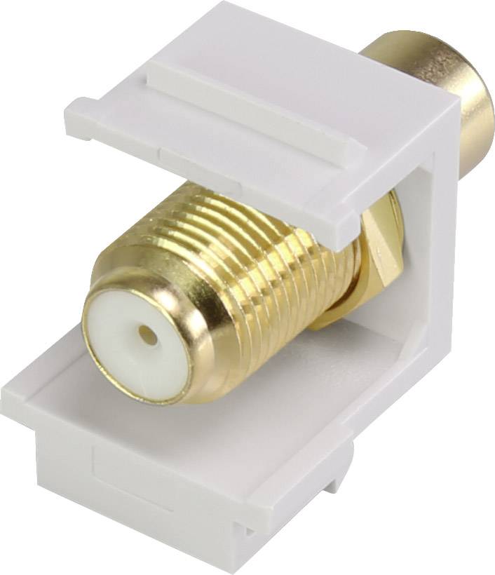 Een coaxiaal keystone-module met F-aansluiting in een wit kunststof behuizing, geschikt voor infrastructuurnetwerken in IT-installaties.