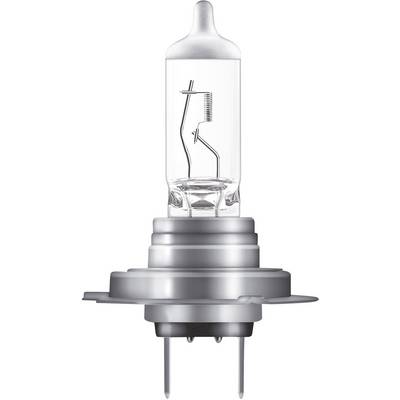 Een enkele halogeenlamp met een heldere glazen behuizing en metalen pennen, rechtop gepositioneerd, zonder schakelaar of extra toebehoren.