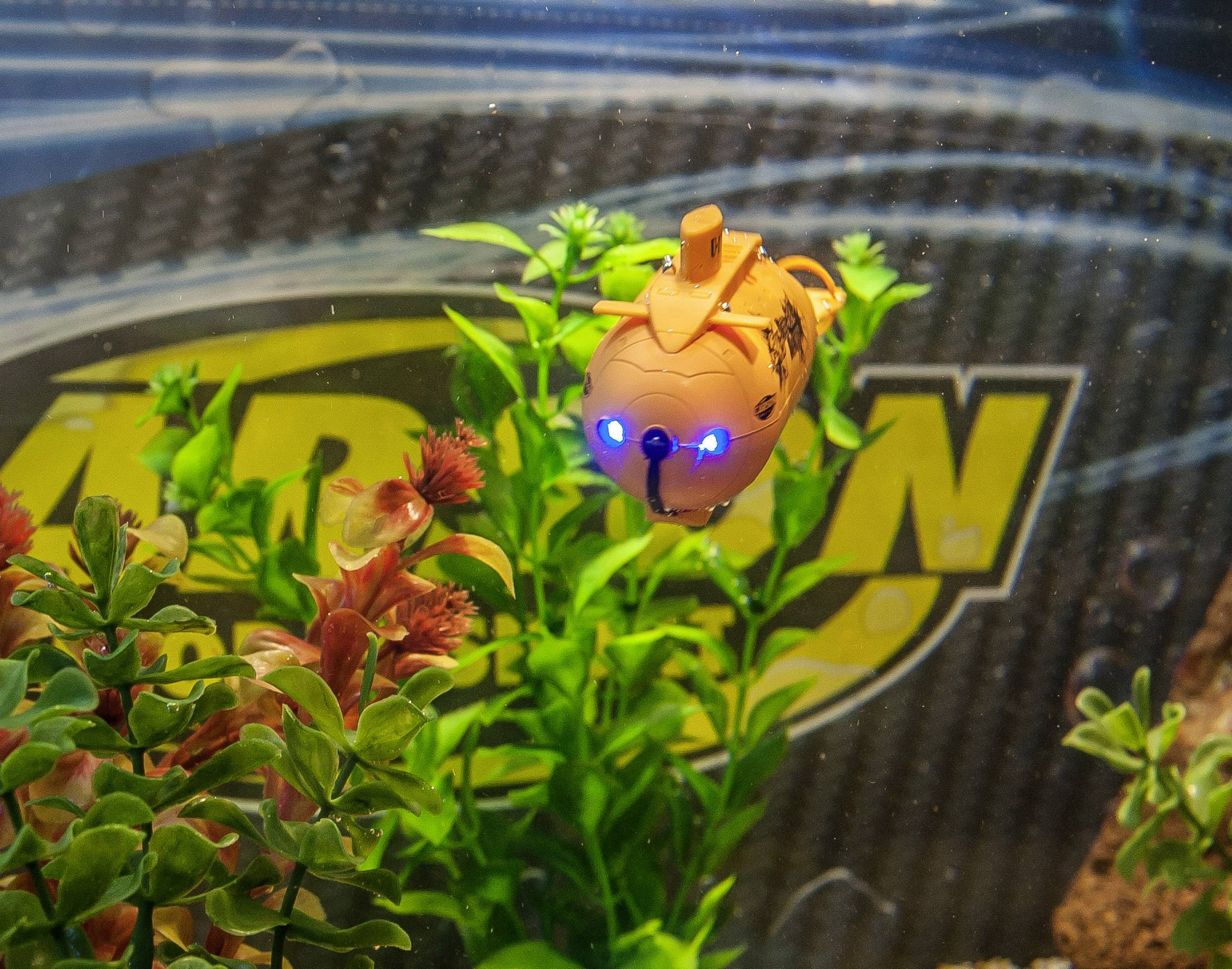 Een oranje, visachtig, afstandsbediend speelgoed met blauwe lichtjes zweeft tussen groene waterplanten.