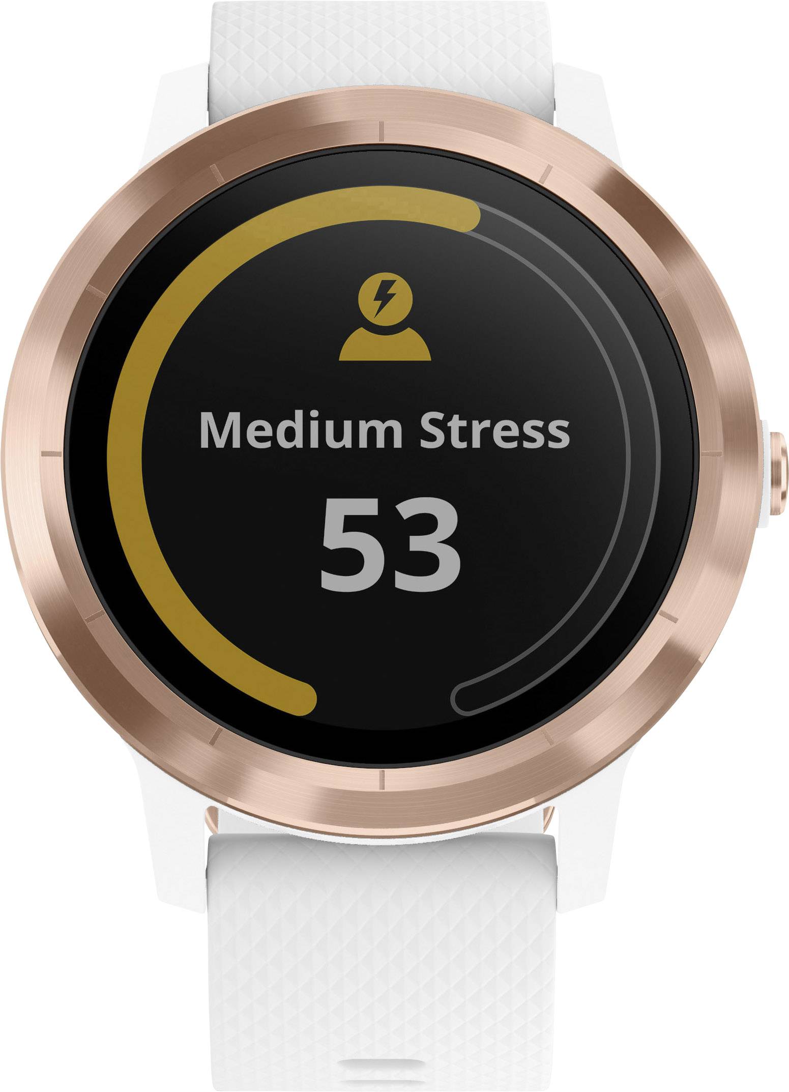 vivoactive 3 xxl