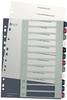 Leitz 1238 Style Register DIN A4 1-12 Polypropyleen Meerdere kleuren 12 tabbladen Extra breed, PC-beschrijfbaar 1238-00-00