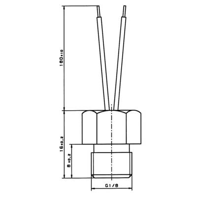 Technische tekening van een stekker. Afmetingen: lengte 180 ± 10 mm, andere maat 160 ± 2 mm. Schroefdraad G1/8. Kabels steken uit.