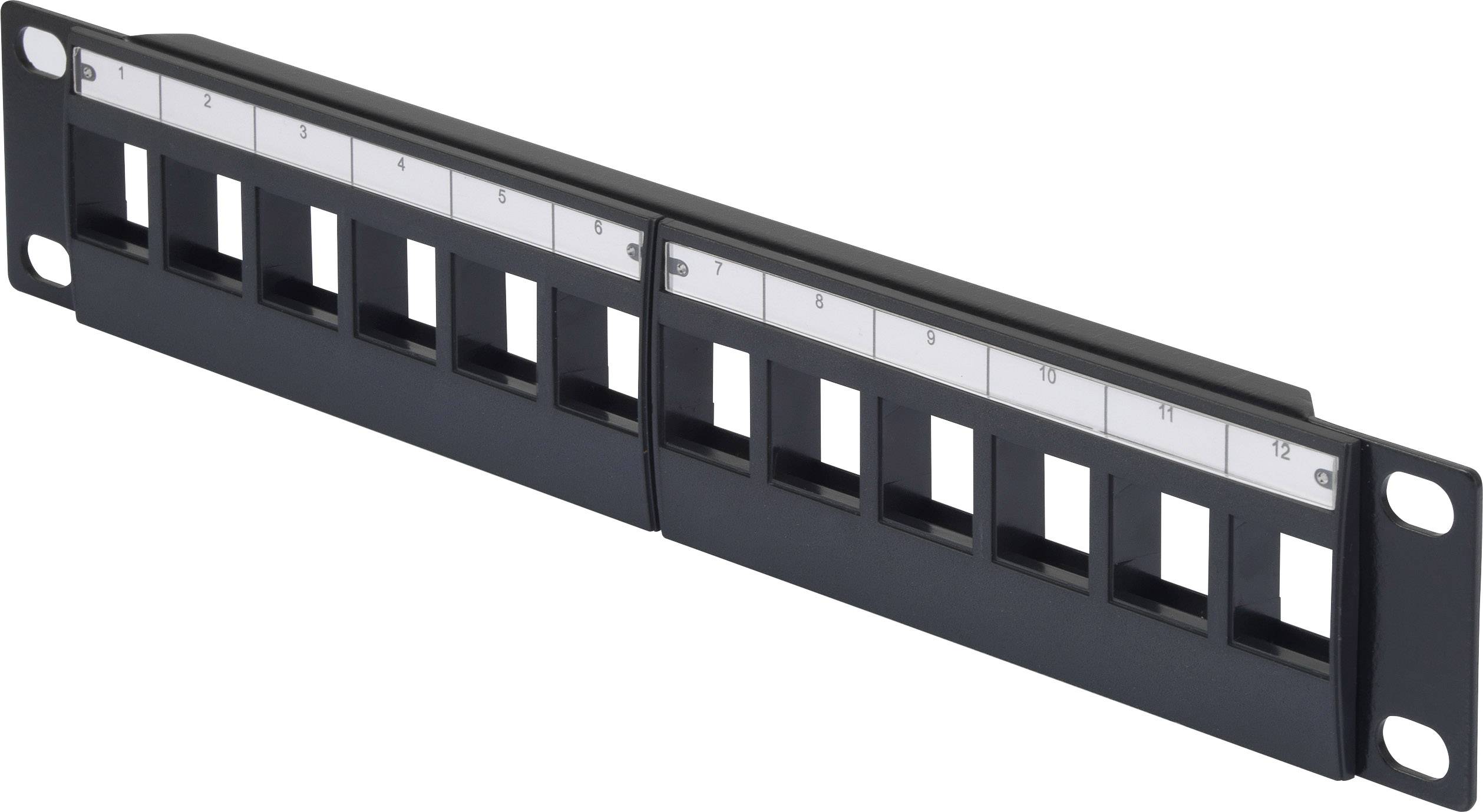 10 tum Frontpanel Renkforce RF-3521388 Svart