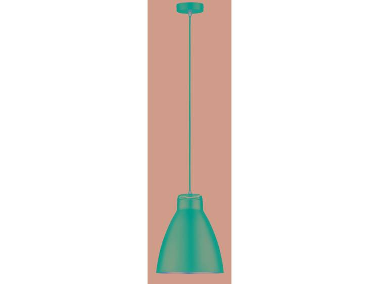 1-lichts hanglamp Roald