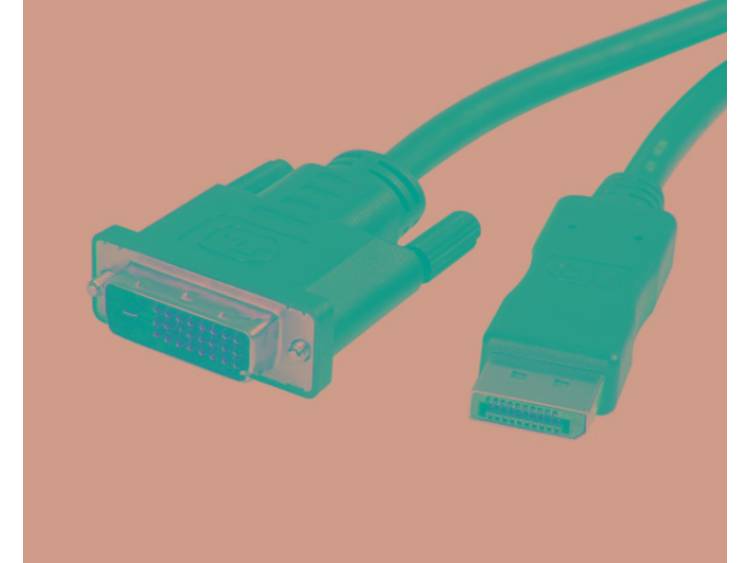 Techly ICOC DSP-C12-010 1m DisplayPort DVI Zwart video kabel adapter