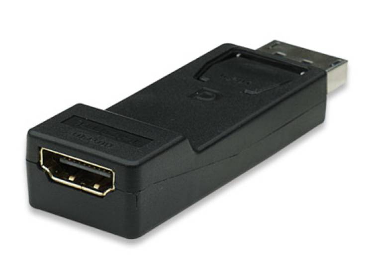 Techly IADAP DSP-212 DisplayPort 20-pin HDMI 19-pin Zwart kabeladapter-verloopstukje