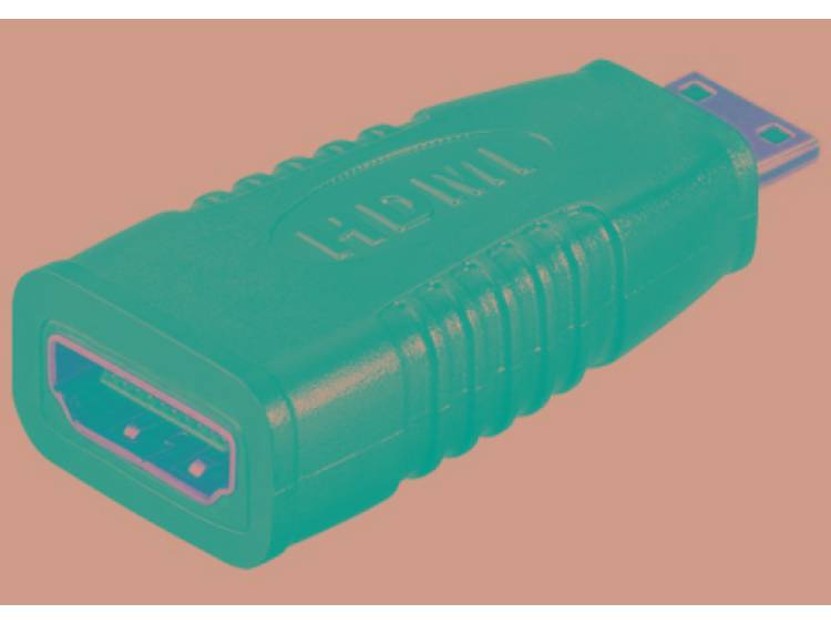 Techly Mini HDMI HDMI M-F Mini HDMI HDMI Zwart kabeladapter-verloopstukje