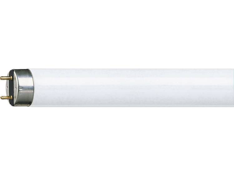 TL lamp G13 36 W Koud-wit Buis (Ã x l) 28 mm x 1213.6 mm Energielabel: A Dimbaar 1 stuks