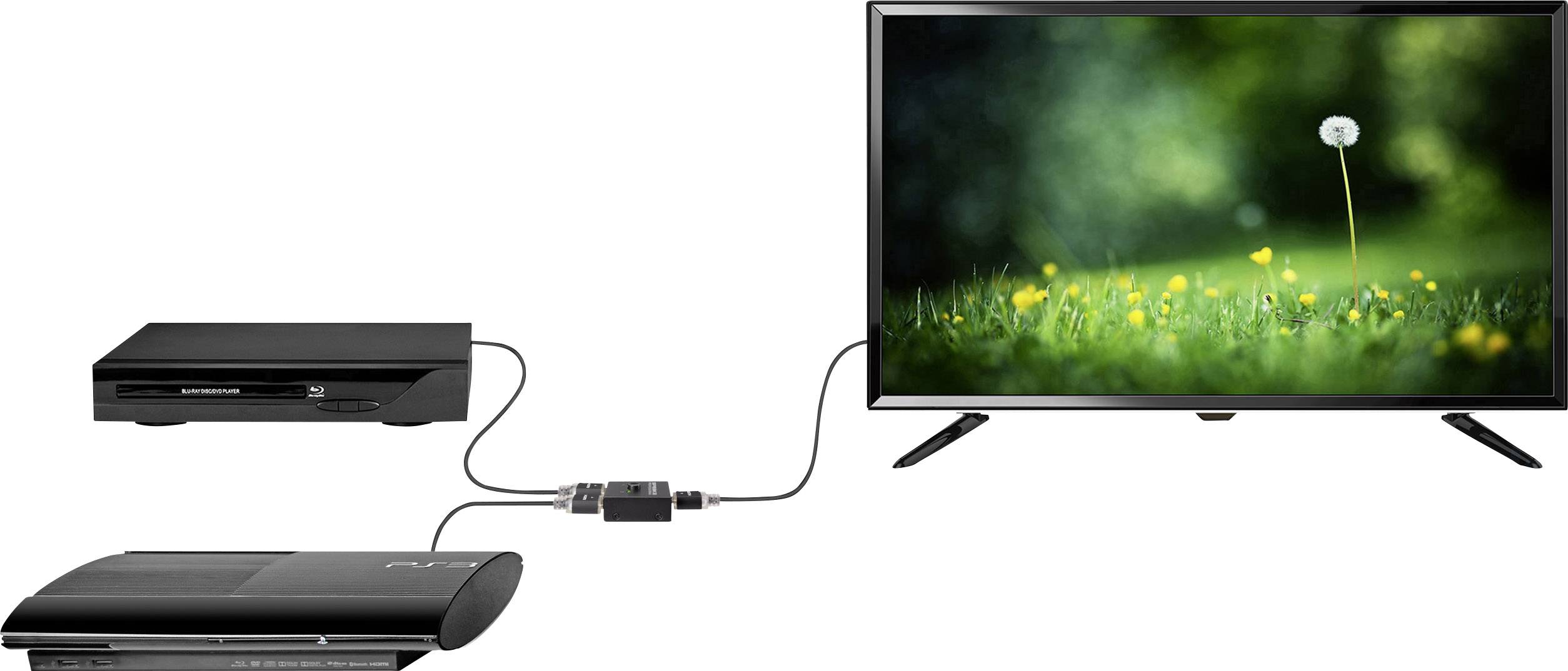 Een televisie met een afbeelding van een weide en een paardenbloem. Verbonden met een Blu-ray-speler en een extra apparaat.