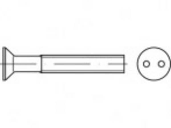 TOOLCRAFT TO-5379966 Veiligheidsschroeven M6  16 mm Tweegats   88112 RVS A2 100 stuk(s)