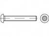 TOOLCRAFT TO-5380074 Veiligheidsschroeven M12 25 mm Binnenzeskant (inbus) met stift 88113 RVS A2 500 stuk(s)