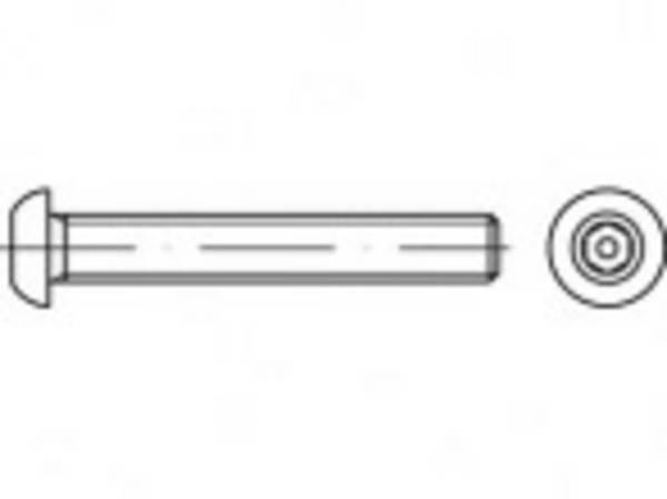 TOOLCRAFT TO-5380074 Veiligheidsschroeven M12  25 mm Binnenzeskant (inbus) met stift   88113 RVS A2 500 stuk(s)
