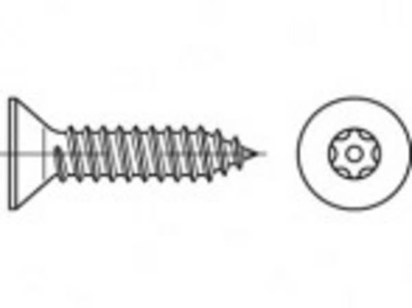 TOOLCRAFT TO-5380164 Veiligheidsschroeven 4.2 mm  16 mm Binnen-T   88115 RVS A2 100 stuk(s)